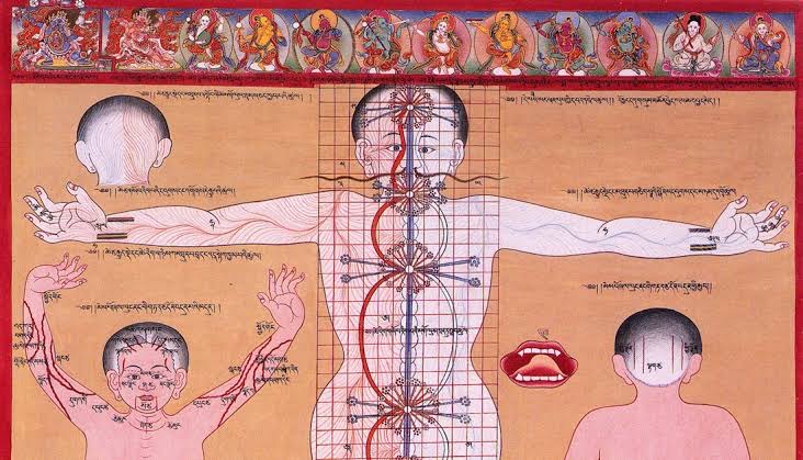Medical Chart for Berribula Healers