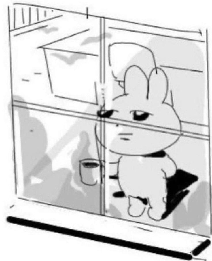 Rabbit
